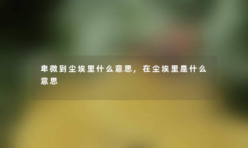 卑微到尘埃里什么意思,在尘埃里是什么意思