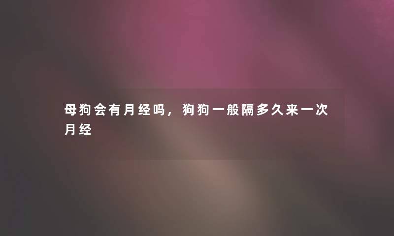 母狗会有月经吗,狗狗一般隔多久来一次月经