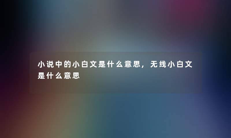 小说中的小白文是什么意思,无线小白文是什么意思