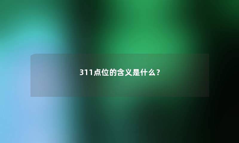 311点位的含义是什么？