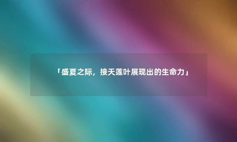 「盛夏之际，接天莲叶展现出的生命力」