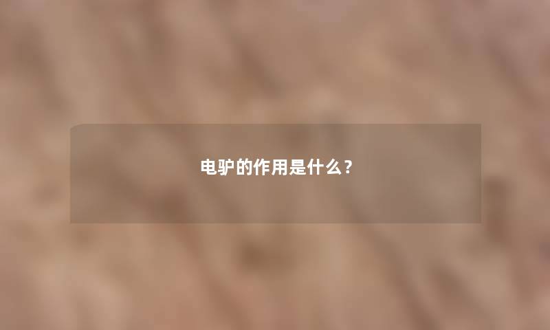 电驴的作用是什么？