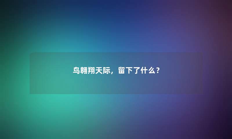 鸟翱翔天际，留下了什么？