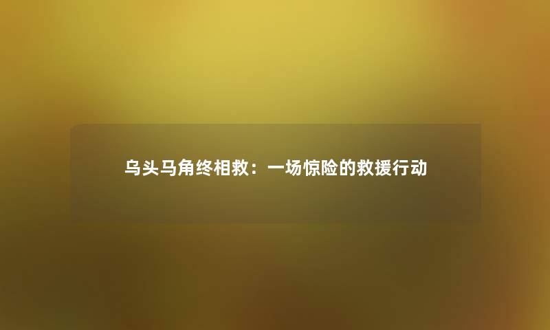 乌头马角终相救：一场惊险的行动