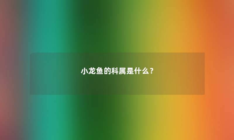 小龙鱼的科属是什么？