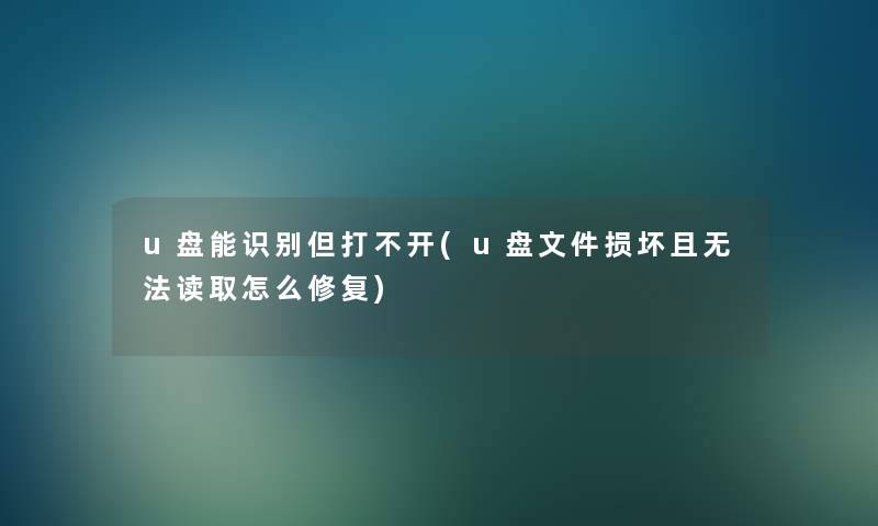 u盘能识别但打不开(u盘文件损坏且无法读取怎么修复)