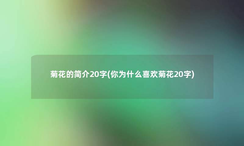 菊花的简介20字(你为什么喜欢菊花20字)