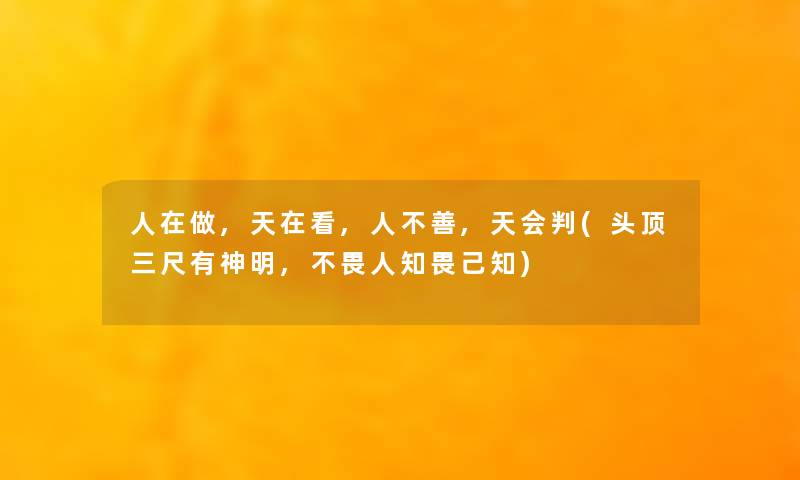 人在做,天在看,人不善,天会判(头顶三尺有神明,不畏人知畏己知)