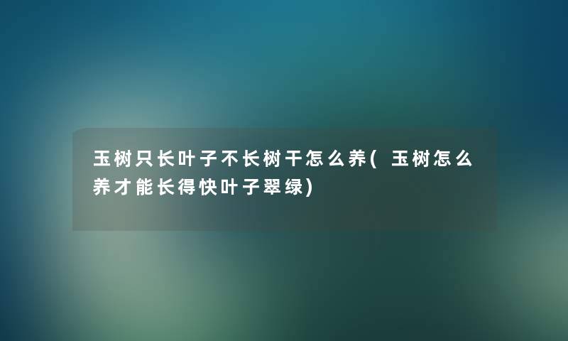 玉树只长叶子不长树干怎么养(玉树怎么养才能长得快叶子翠绿)