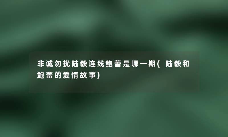 非诚勿扰陆毅连线鲍蕾是哪一期(陆毅和鲍蕾的爱情故事)