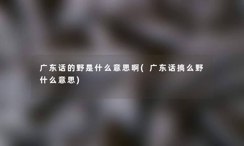 广东话的野是什么意思啊(广东话搞么野什么意思)