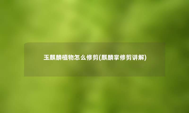 玉麒麟植物怎么修剪(麒麟掌修剪讲解)