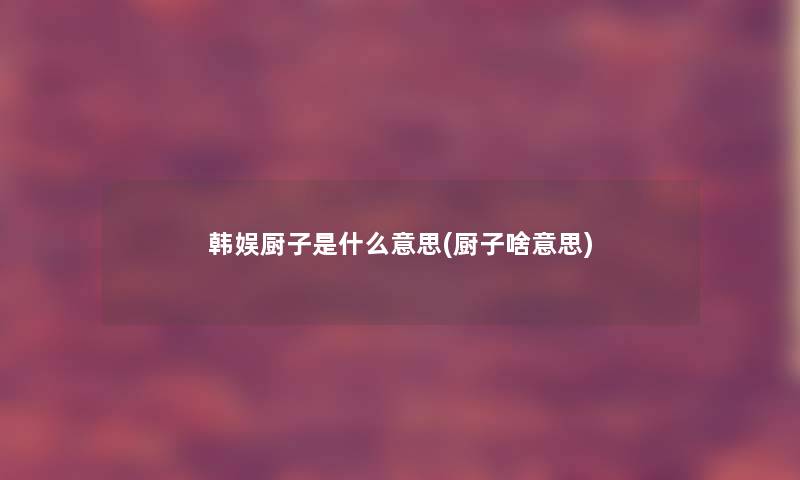 韩娱厨子是什么意思(厨子啥意思)