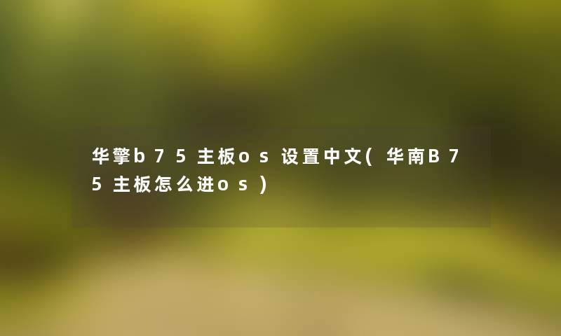 华擎b75主板os设置中文(华南B75主板怎么进os)