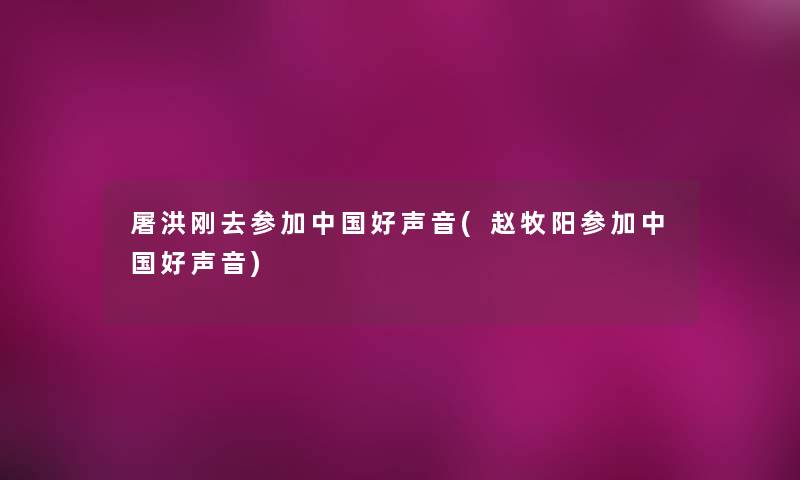 屠洪刚去参加中国好声音(赵牧阳参加中国好声音)