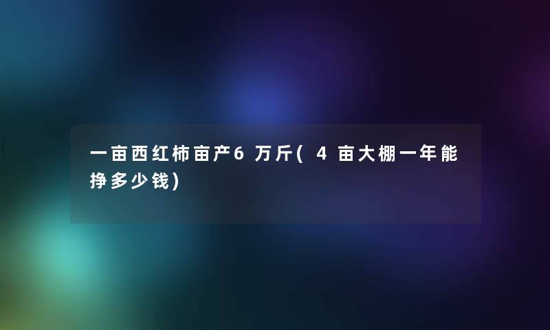 一亩西红柿亩产6万斤(4亩大棚一年能挣多少钱)