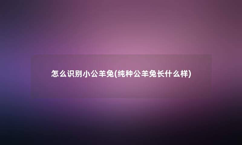 怎么识别小公羊兔(纯种公羊兔长什么样)