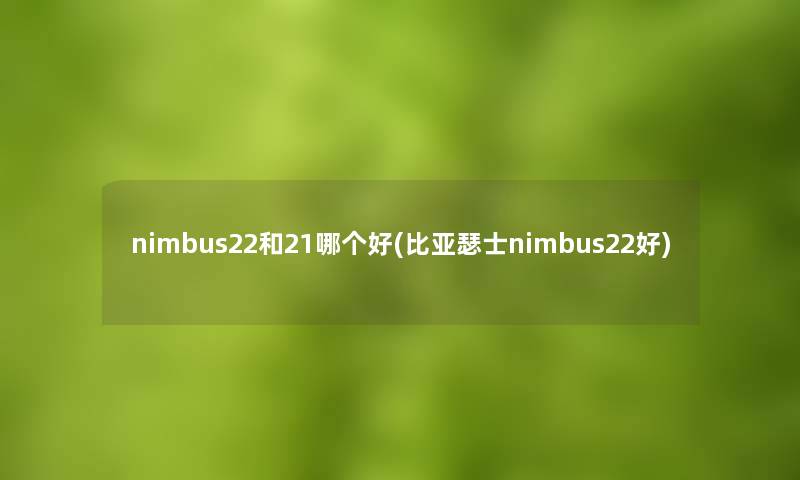 nimbus22和21哪个好(比亚瑟士nimbus22好)