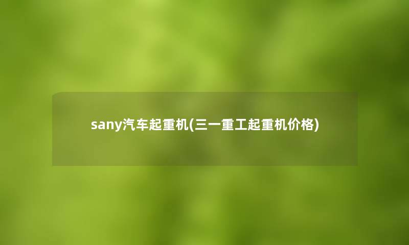 sany汽车起重机(三一重工起重机价格)