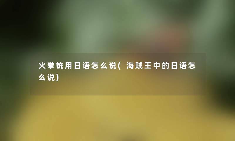 火拳铳用日语怎么说(海贼王中的日语怎么说)