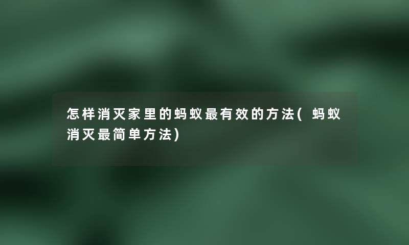 怎样消灭家里的蚂蚁有效的方法(蚂蚁消灭简单方法)