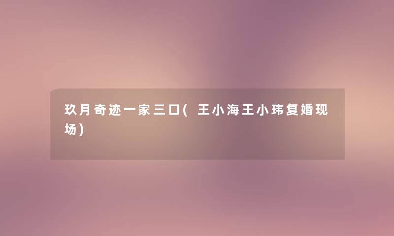 玖月奇迹一家三口(王小海王小玮复婚现场)