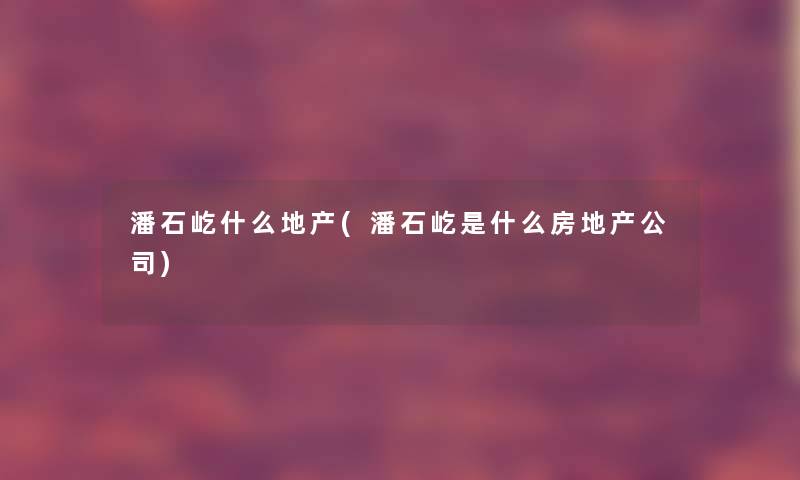 潘石屹什么地产(潘石屹是什么房地产公司)