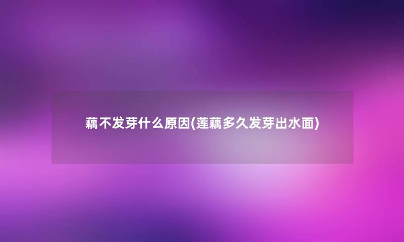 藕不发芽什么原因(莲藕多久发芽出水面)