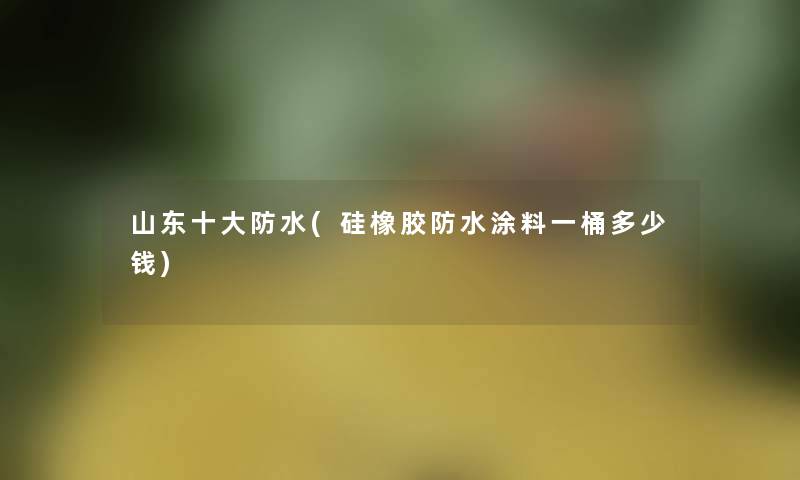 山东一些防水(硅橡胶防水涂料一桶多少钱)