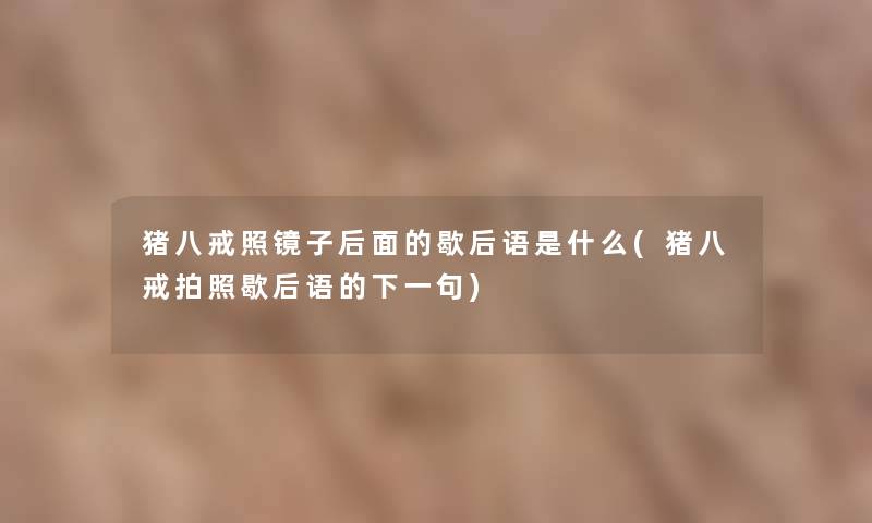 猪八戒照镜子后面的歇后语是什么(猪八戒拍照歇后语的下一句)