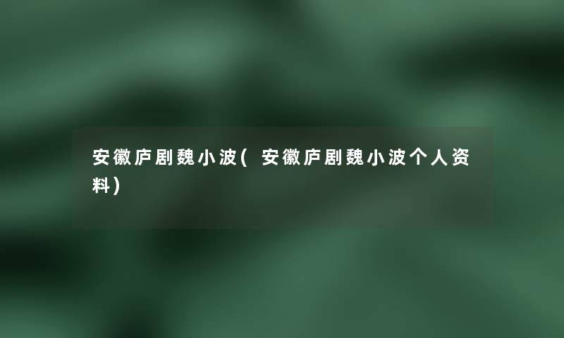 安徽庐剧魏小波(安徽庐剧魏小波个人资料)