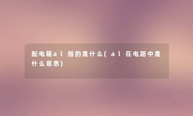 配电箱al指的是什么(al在电路中是什么意思)