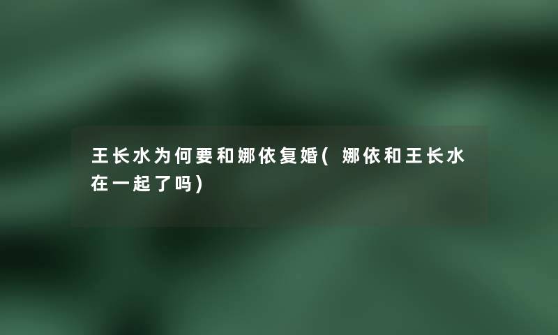 王长水为何要和娜依复婚(娜依和王长水在一起了吗)