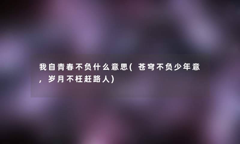 我自青春不负什么意思(苍穹不负少年意,岁月不枉赶路人)