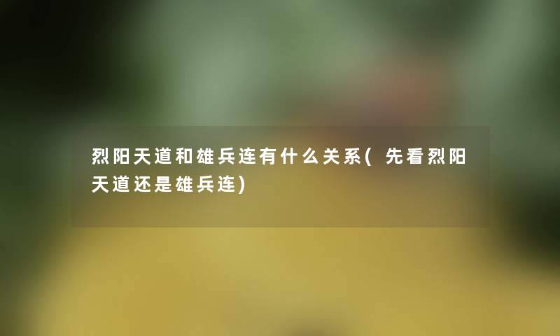 烈阳天道和雄兵连有什么关系(先看烈阳天道还是雄兵连)